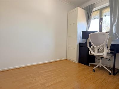 Picture 17